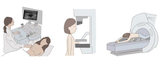 文本
低可信度描述已自动生成