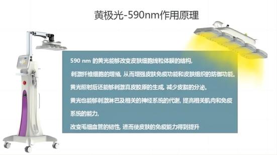 舒敏专家