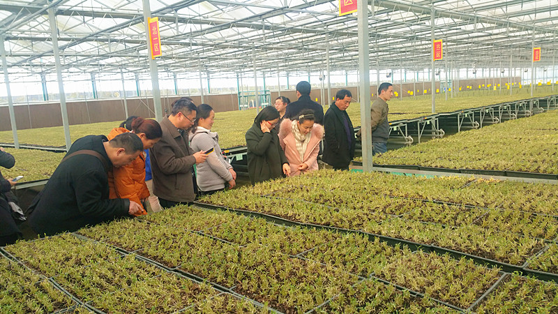 4118ccom云顶组织药学人员参观九仙尊霍山石斛股份有限公司-3.jpg
