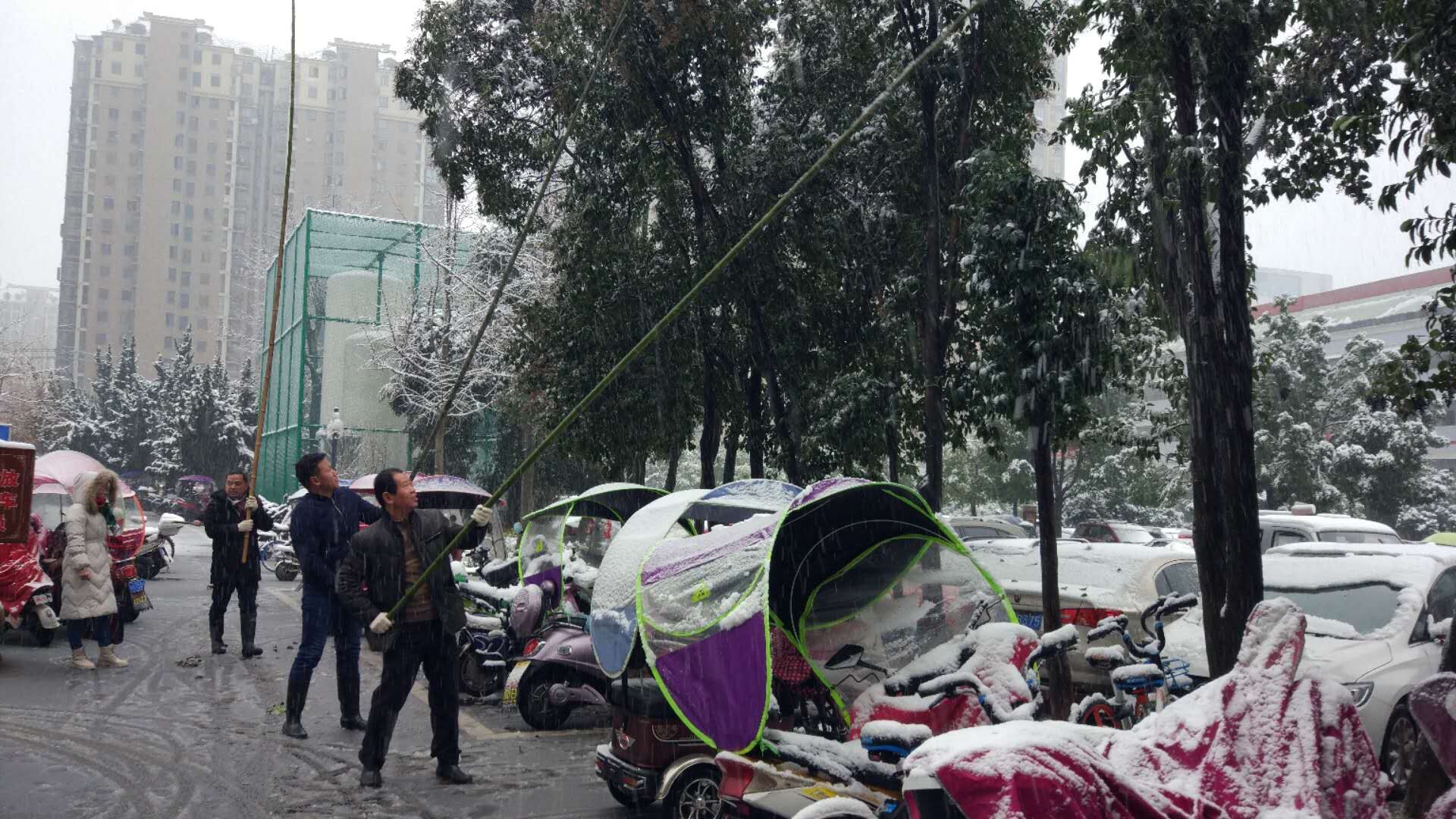 QQ图片20190109115416.jpg