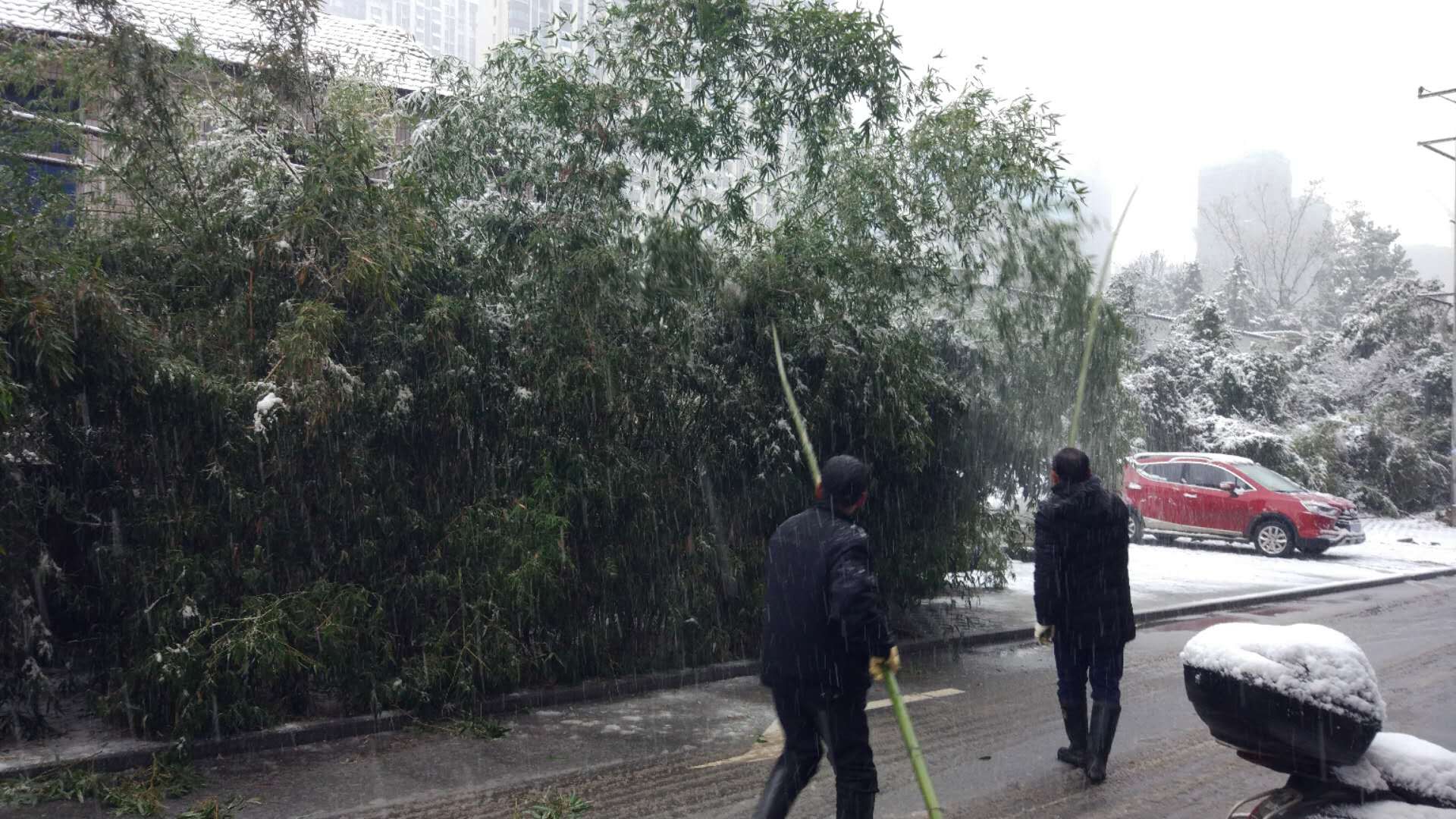 QQ图片20190109115412.jpg