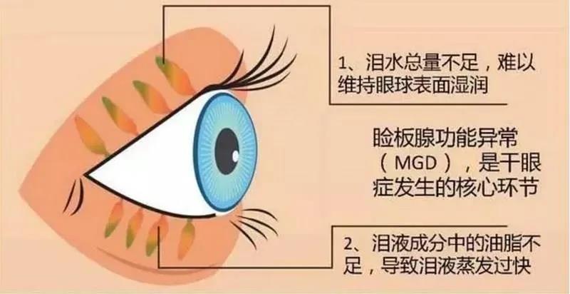 图片2 图片2