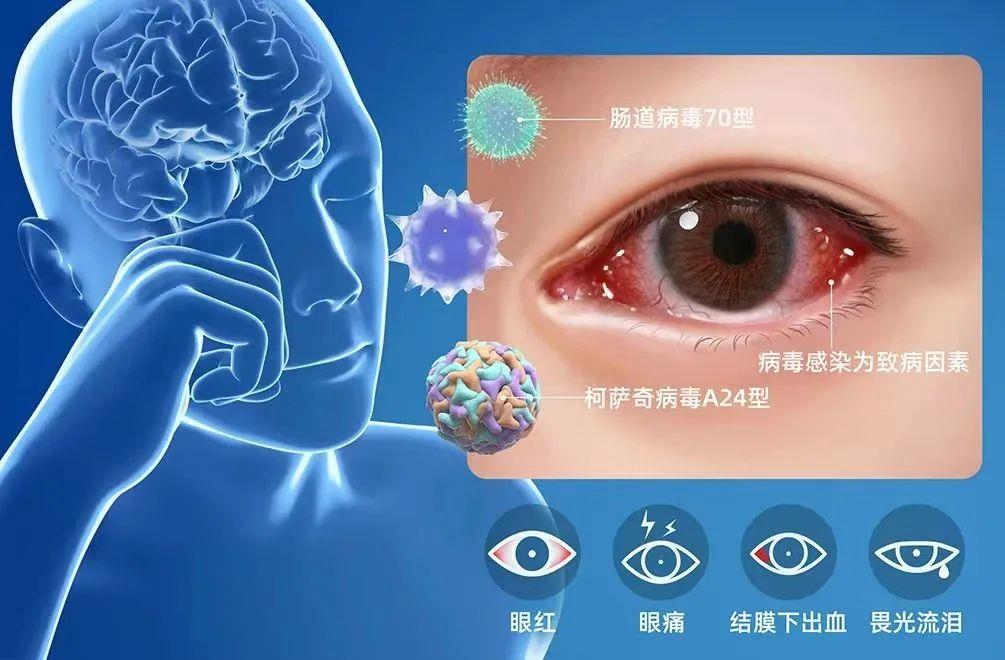 图片1 图片1